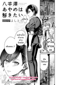 สาวเมดอายาเมะ กับอุปสรรคแห่งความรัก [Yoshitora]